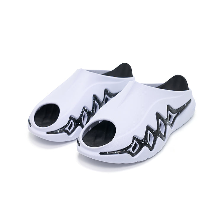 Shark 3.0 Slides